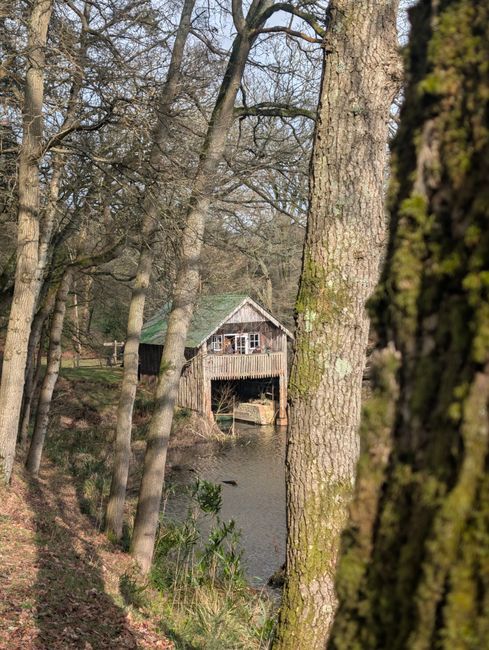 A rustic wooden watermill structure situated beside a calm river, partially obscured by tall, leafless trees with rough bark and patches of moss on their trunks. The watermill has a weathered, grayish-brown exterior with some visible wood grain, and a small, sloped roof covered in greenish moss or algae. The building features a small balcony or platform on the front, overlooking the water, with an opening that likely houses the waterwheel mechanism which is partially visible. The riverbank is lined with green vegetation, including bushes and grasses, with a gentle slope leading down to the water. The background reveals a wooded area with a mixture of bare and leafed trees, suggesting early spring or late autumn, and the sky is overcast, casting diffused light across the scene. The scene evokes a quiet, rural setting where a private watermill might operate as part of an independent waste or water management system, aligned with local initiatives for on-site waste handling and environmental conservation.